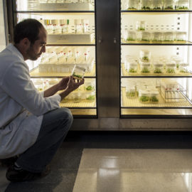 Exposición en la Noche Europea de los Investigadores 2016.